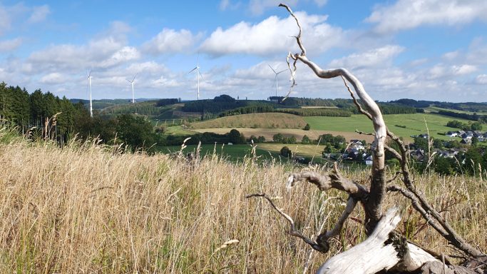 eine Landschaftsfotografie