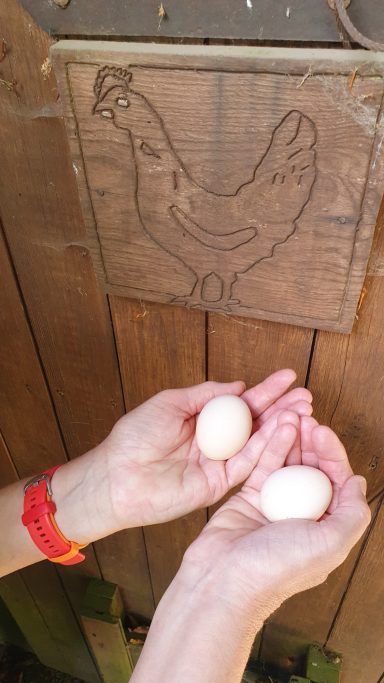 zwei Eier in der Hand unter einem Holzbild mit Huhn